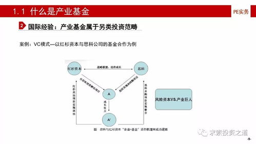 產(chǎn)業(yè)基金的建立、投資策略、投后管理與風(fēng)險控制